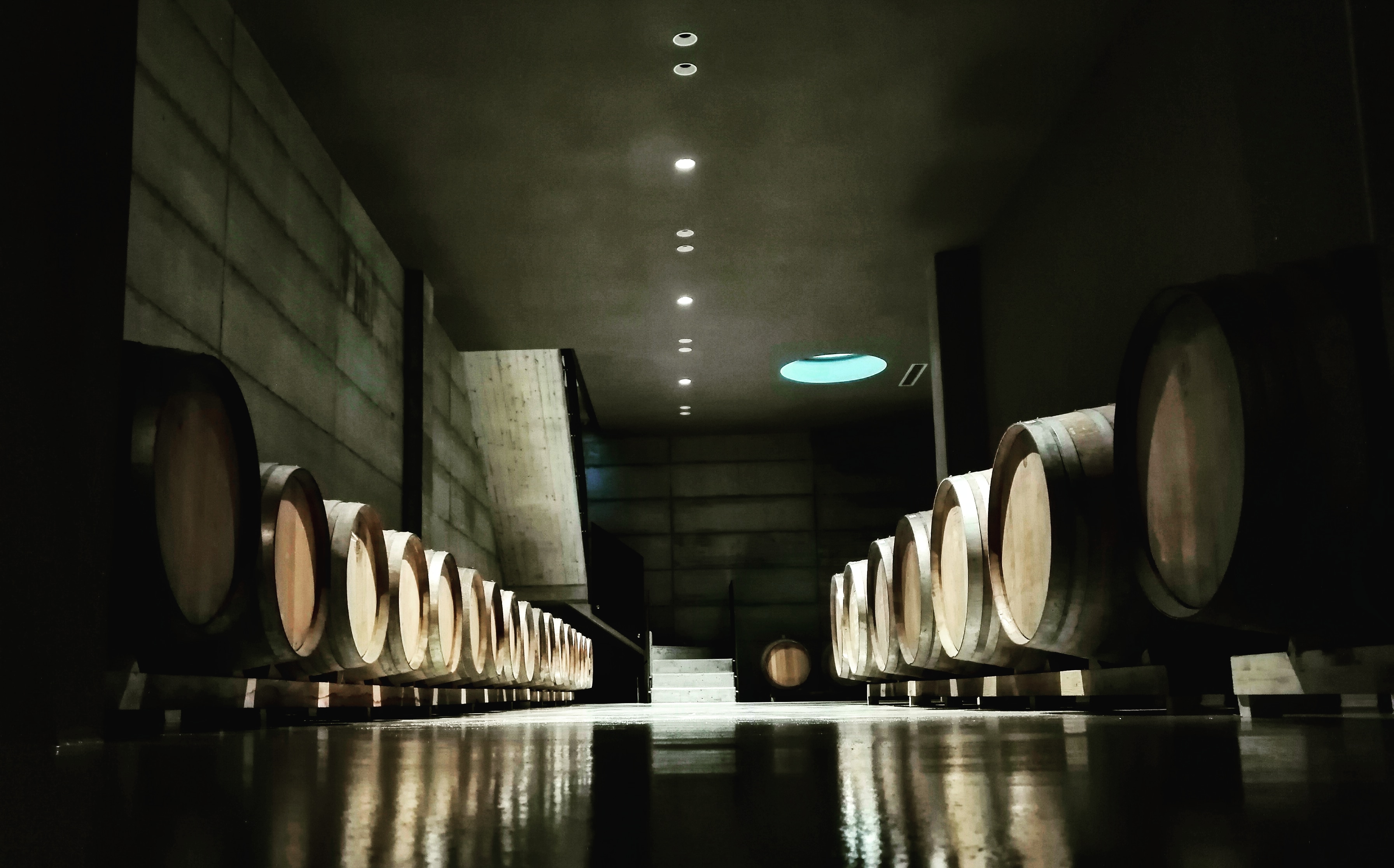 Cantina Ca' di Sopra — sala barrique