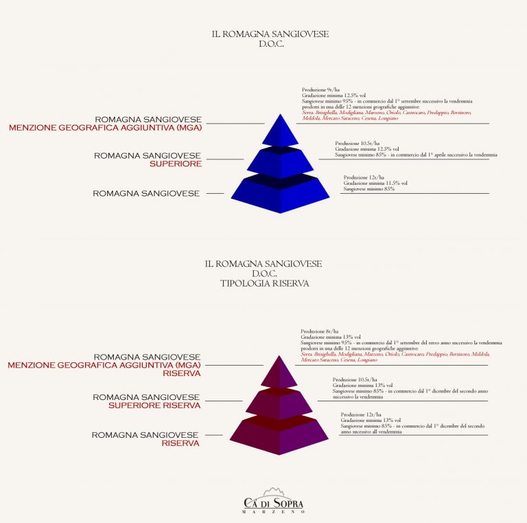 QUALE ROMAGNA SANGIOVESE?