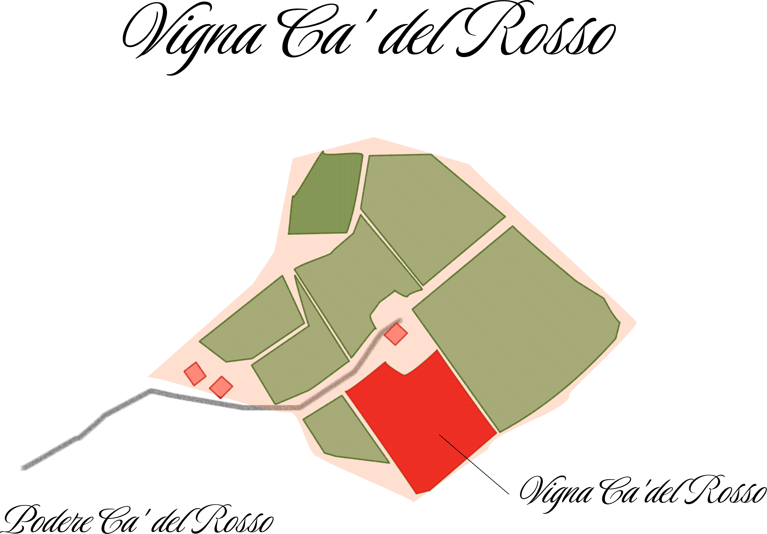Mappa vigneto Vigna Ca' del Rosso