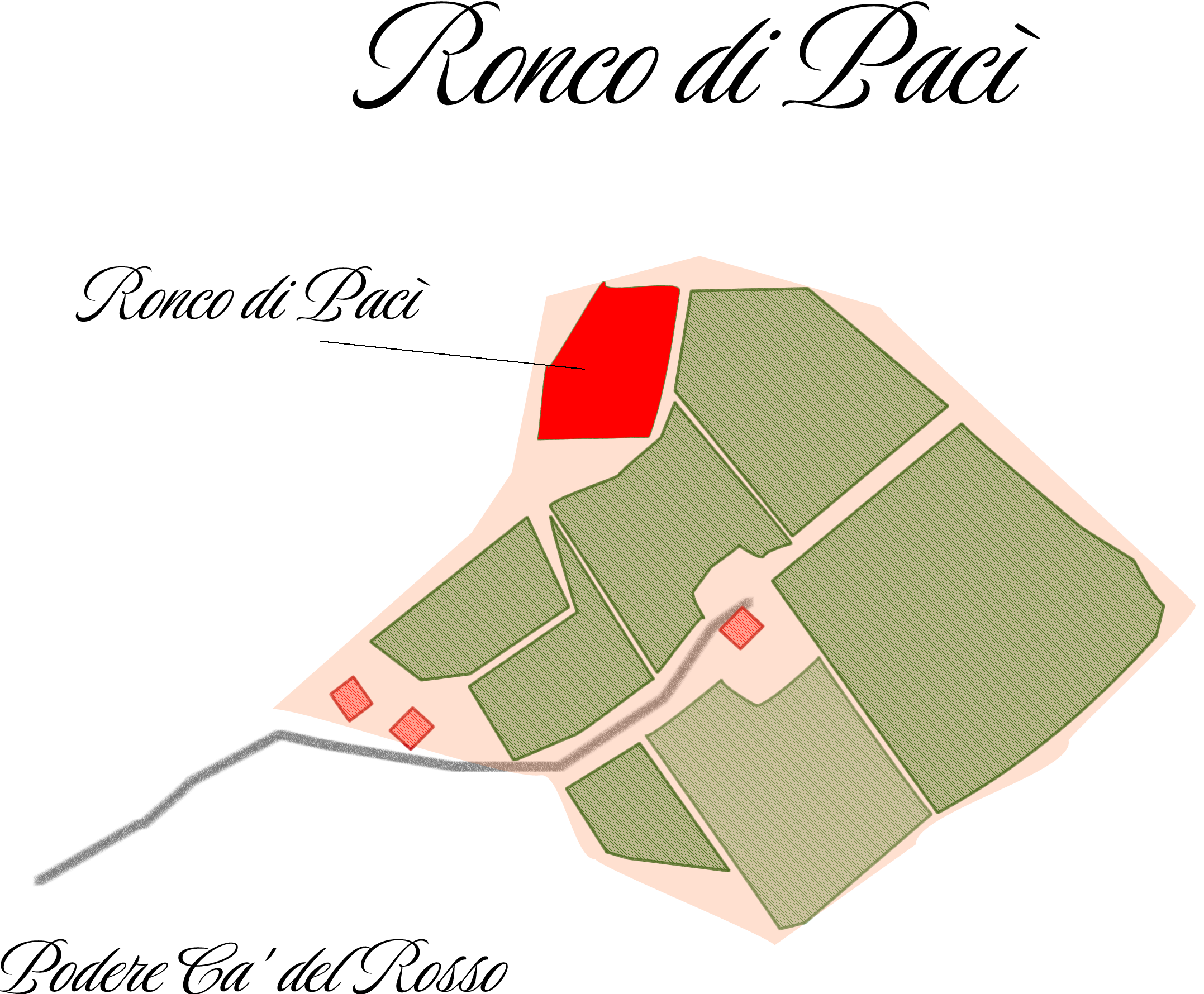Mappa vigneto Ronco di Pacì