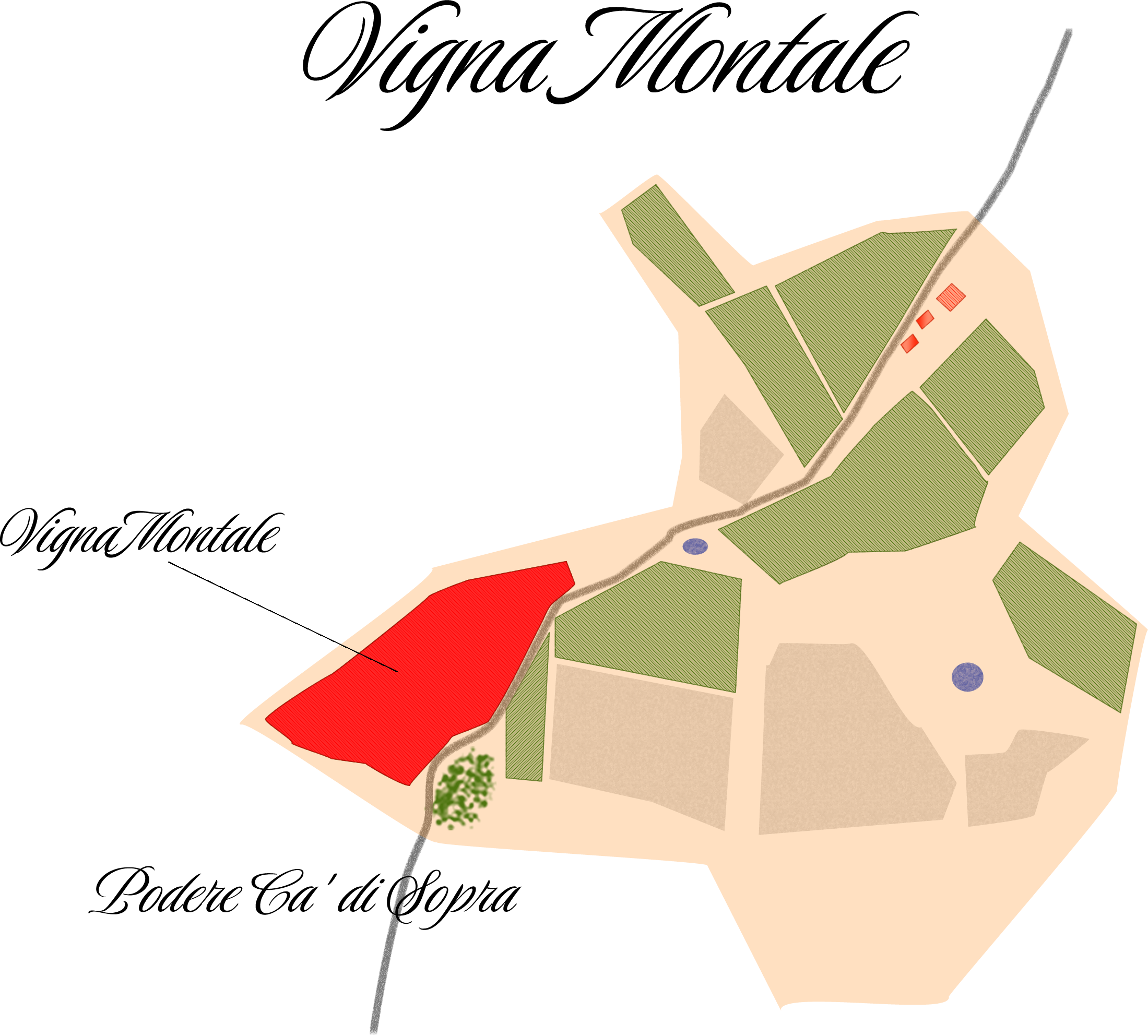 Mappa vigneto Vigna Montale