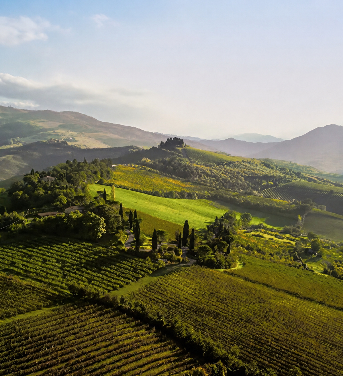 Collina di Agello — Marzeno