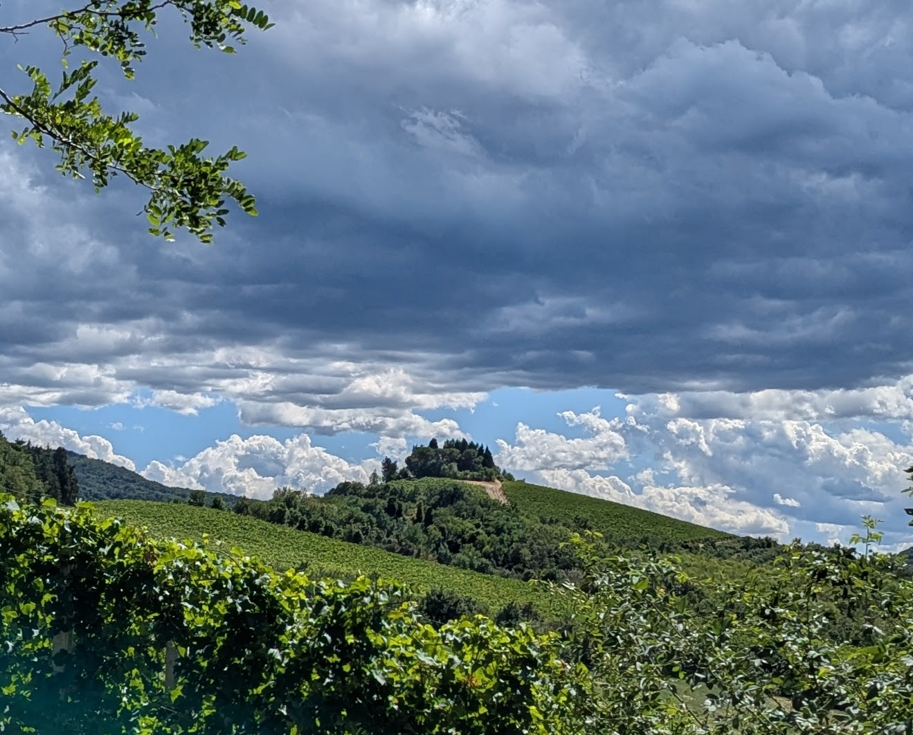Vigna Montale — Ca' di Sopra